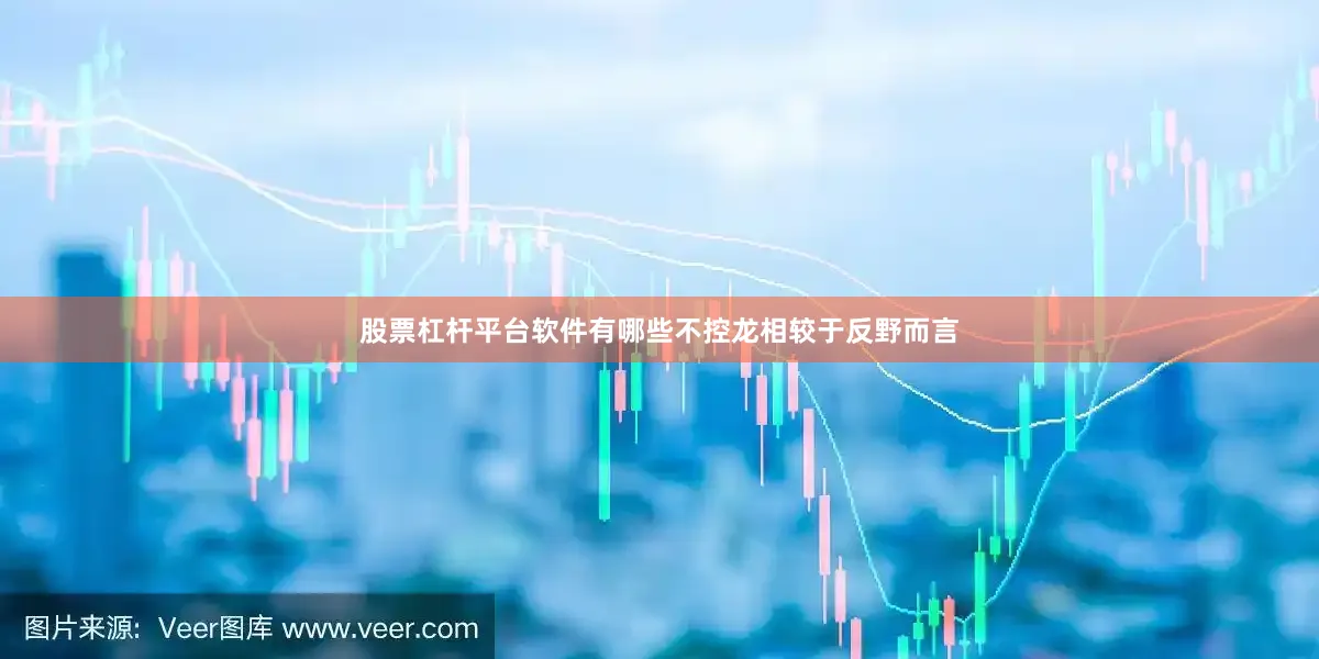 股票杠杆平台软件有哪些不控龙相较于反野而言